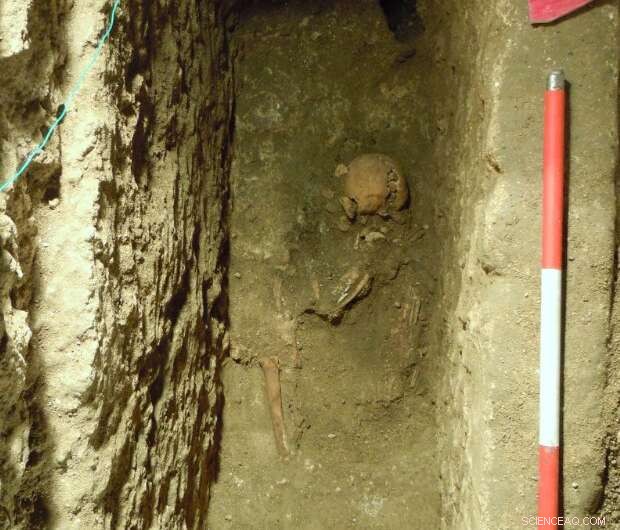 Researchers Trace Trench Fever’s Origins from Ancient Human Remains
