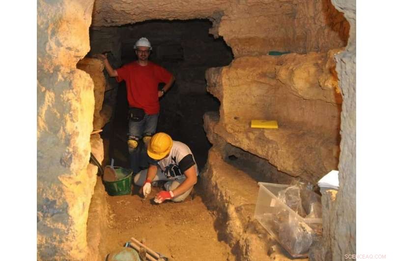 Researchers Trace Trench Fever’s Origins from Ancient Human Remains