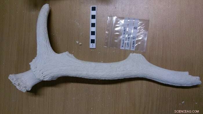 Neolithic Construction Boom Sparked Mega Henges Across Southern Britain, Study Finds