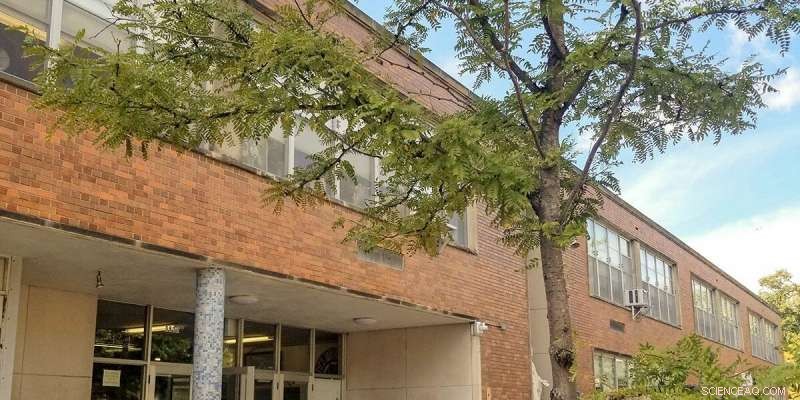 How Green Spaces Boost Sixth‑Grade Academic Performance