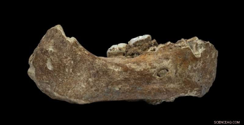 Midnight Excavations at a Sacred Tibetan Cave Reveal Denisovan Heritage on the Roof of the World