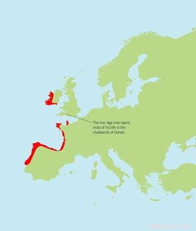New Study Reveals Iron Age British TB Patient Was a Continental European Migrant