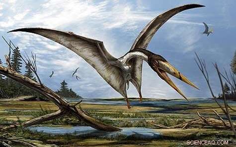 New Mystery Pterosaur Discovered in 100-Year-Old UK Fossil Collection