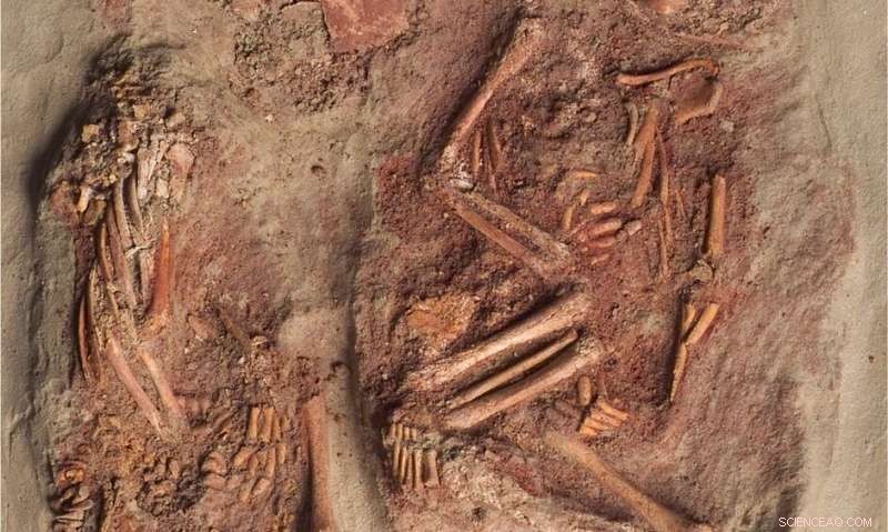 Discovery of 30,000-Year-Old Twin Infant Remains in Ancient Austrian Grave