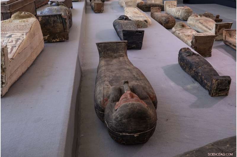 Egypt Uncovers 100+ Ancient Coffins and 40 Gilded Statues in Saqqara Necropolis