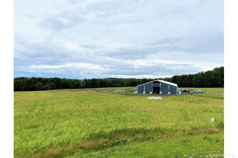 Urgent Quest to Uncover the Secrets of a Rare Viking Burial Ship