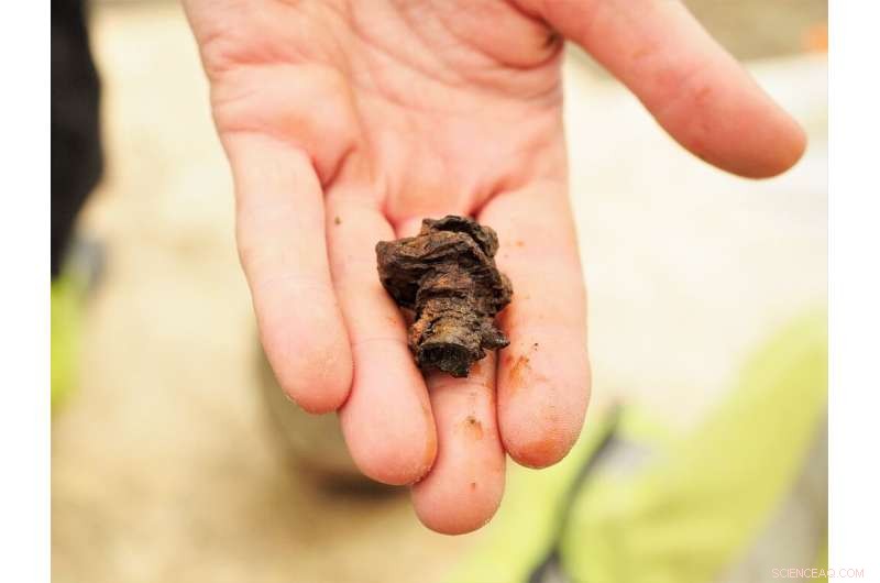 Urgent Quest to Uncover the Secrets of a Rare Viking Burial Ship
