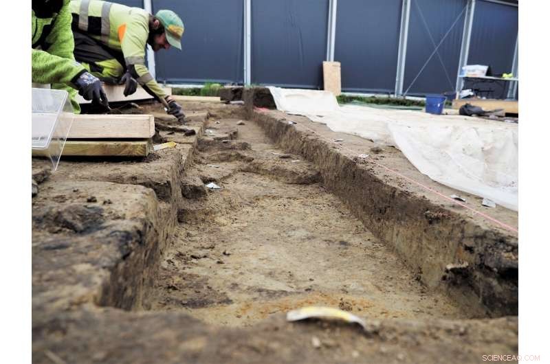 Urgent Quest to Uncover the Secrets of a Rare Viking Burial Ship