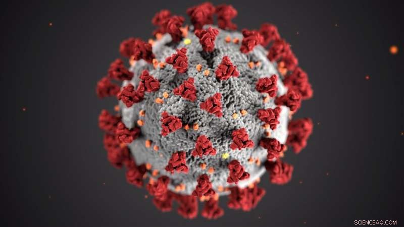 Half of Researchers Fear COVID-19 Will Cut Long-Term Funding, Global Study Reveals