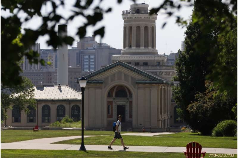 Pandemic Drives Sharp Decline in International Student Enrollment