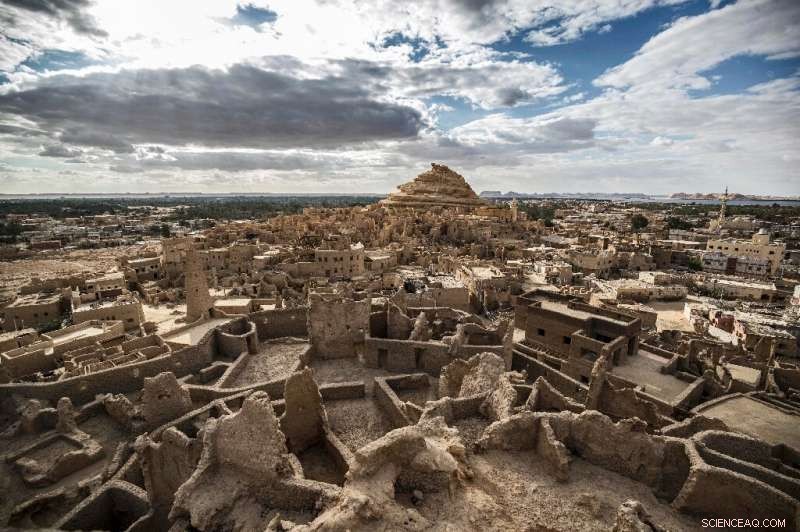 Revitalizing Siwa’s Shali Fortress: A New Era for Eco‑Tourism in Egypt’s Western Desert