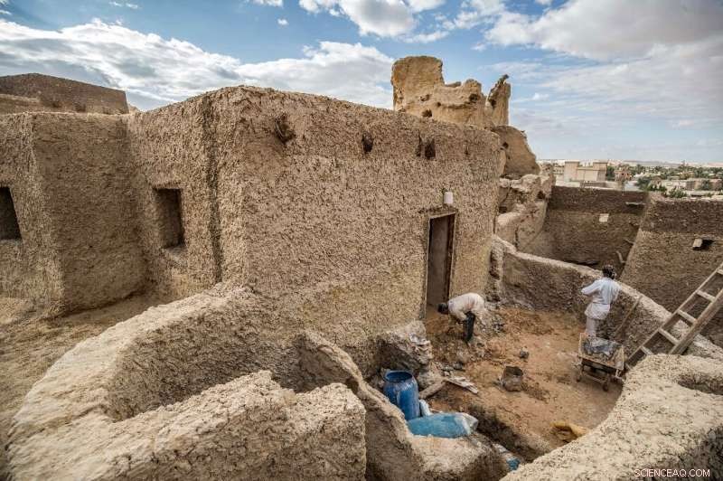 Revitalizing Siwa’s Shali Fortress: A New Era for Eco‑Tourism in Egypt’s Western Desert