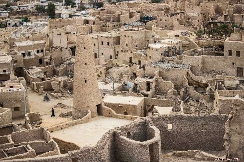 Revitalizing Siwa’s Shali Fortress: A New Era for Eco‑Tourism in Egypt’s Western Desert