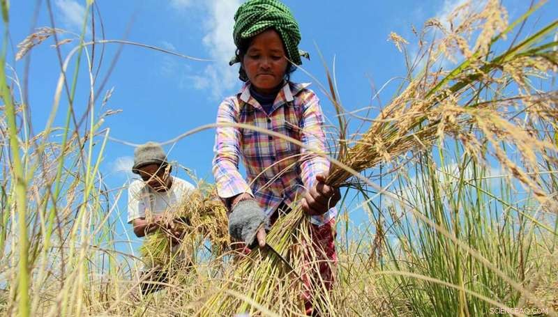 Experts Urge Open Data Culture to Feed the Hungry World