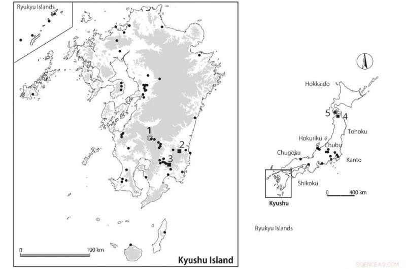 Unveiling Ancient Beetle Impressions: X-Ray Analysis of Late Jōmon Earthenware