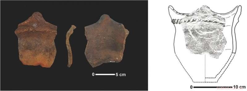 Unveiling Ancient Beetle Impressions: X-Ray Analysis of Late Jōmon Earthenware