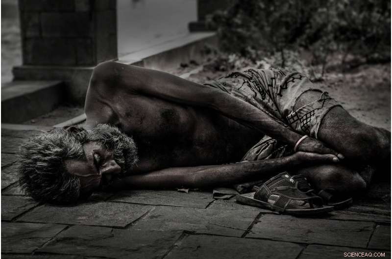 Global Nutrition Transition: How Starvation, Overeating, and Waste Shape Our Food Future