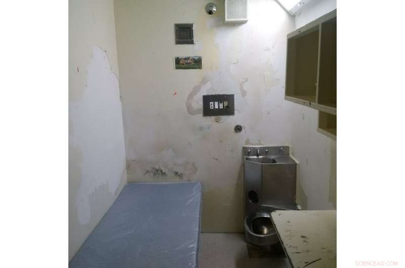 Solitary Confinement Is Still Torture: A Human Rights Examination