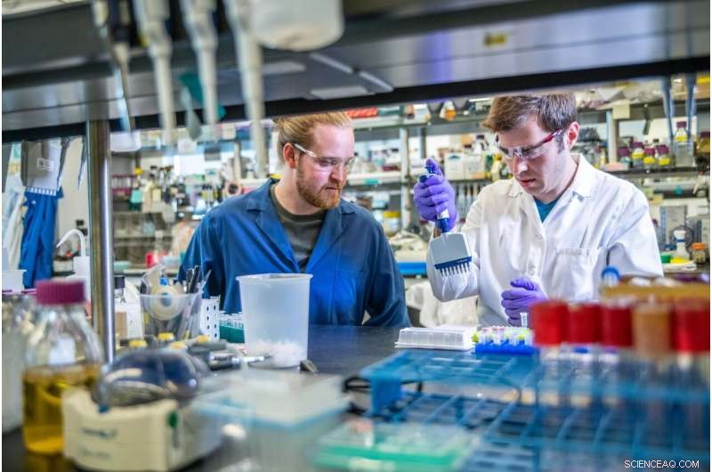 How Spanish Civil Society Influences Science: Insights from a Recent Study