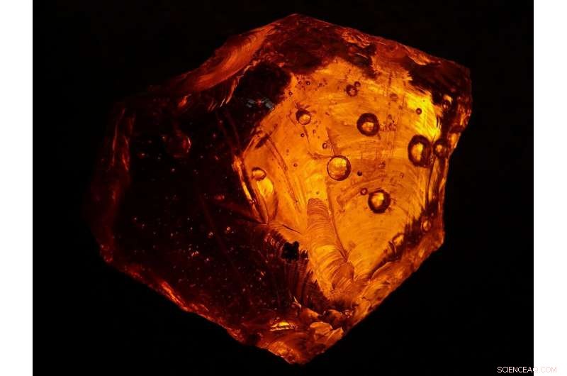 Scientists Reveal a Novel Resin Preservation Process in Spanish Amber