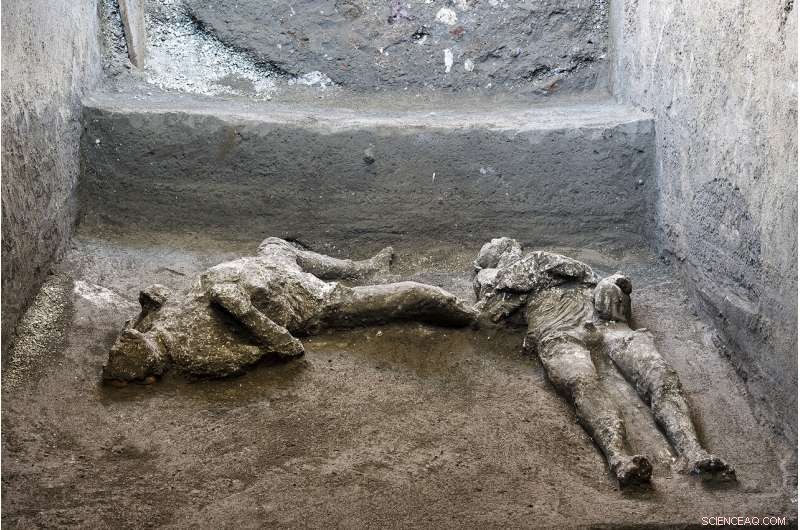 Man and Slave Casts Unearthed in Pompeii: A Glimpse into a 2,000-Year-Old Escape