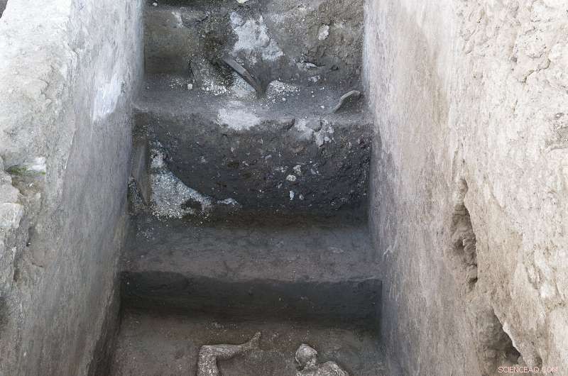 Man and Slave Casts Unearthed in Pompeii: A Glimpse into a 2,000-Year-Old Escape