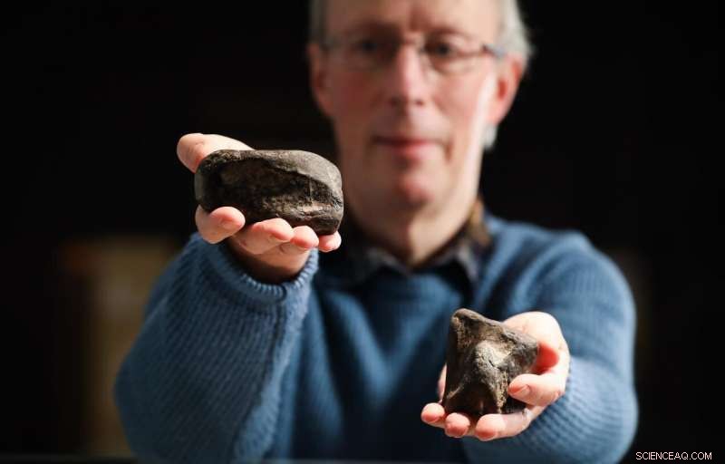 Ireland s Only Dinosaur Fossils Confirmed in Antrim
