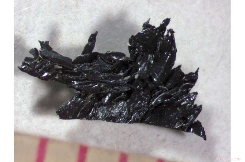 New Insight into the Final Hours of Polar Explorer Jørgen Brønlund