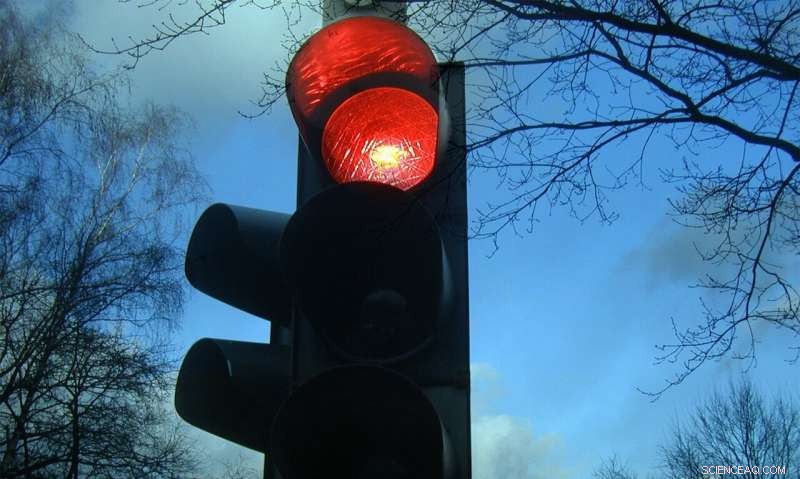 Economist Finds Traffic Cameras Cut Accidents: New Research Reveals Their Effectiveness