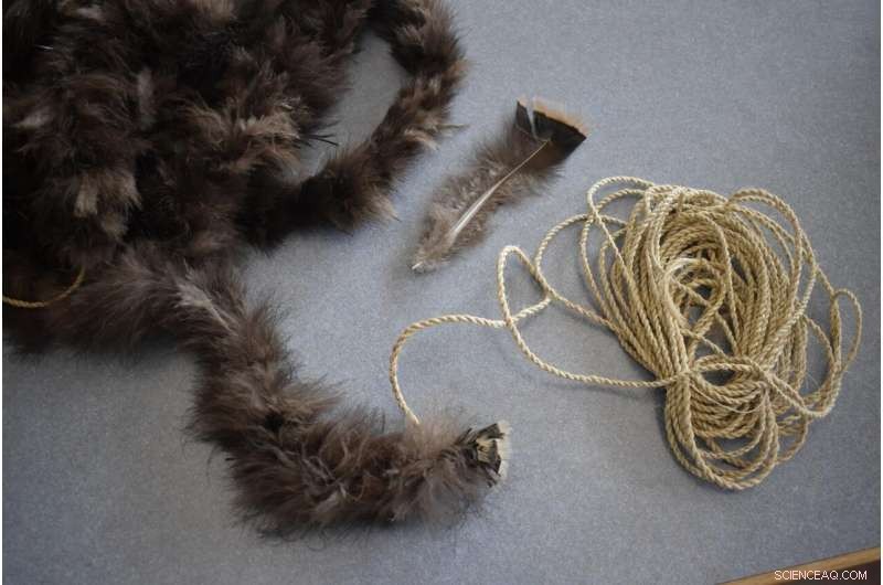 Ancient Southwest Blanket Crafted from 11,500 Turkey Feathers Revealed by New Study