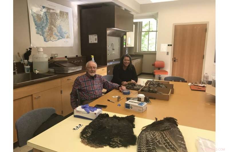 Ancient Southwest Blanket Crafted from 11,500 Turkey Feathers Revealed by New Study