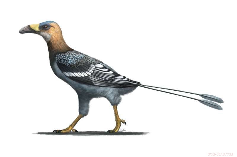 Mesozoic Bird’s Tall, Sickle‑Shaped Beak Uncovers Hidden Diversity of Dinosaurs