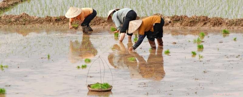 Poverty Does Not Drive Dishonesty: Global Study Finds No Link