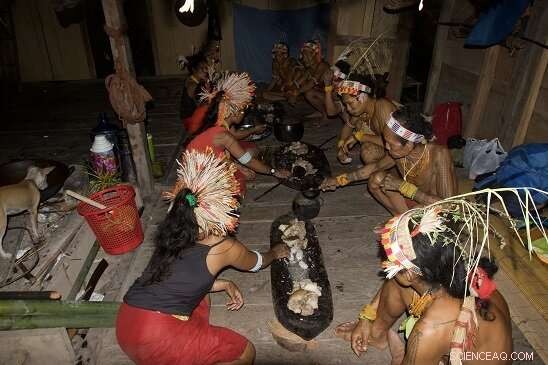 Beyond Food: Hunger as Isolation on Mentawai s Siberut Island