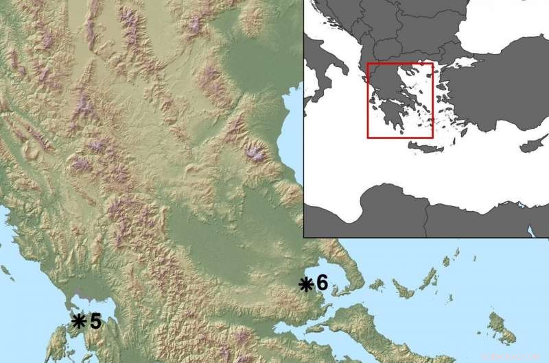 Ancient Greek Markets Decoded: How Cereal, Olive, and Vine Pollen Reveal Economic Integration