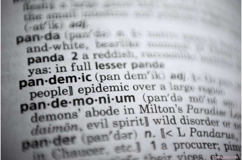 Dictionary Giants Pick  Pandemic  as 2020 Word of the Year