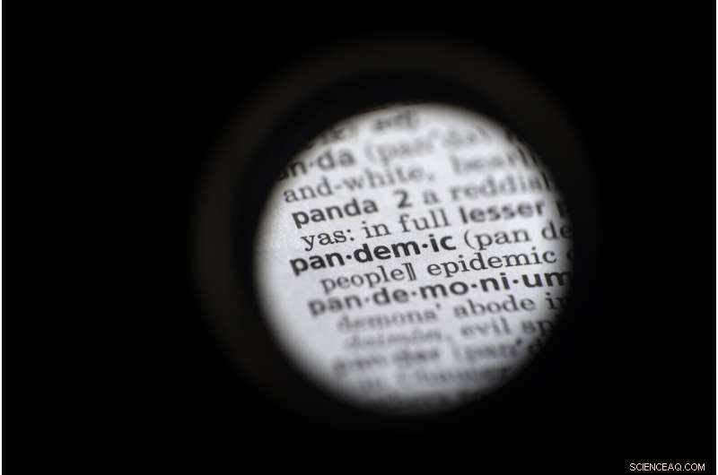 Dictionary Giants Pick  Pandemic  as 2020 Word of the Year