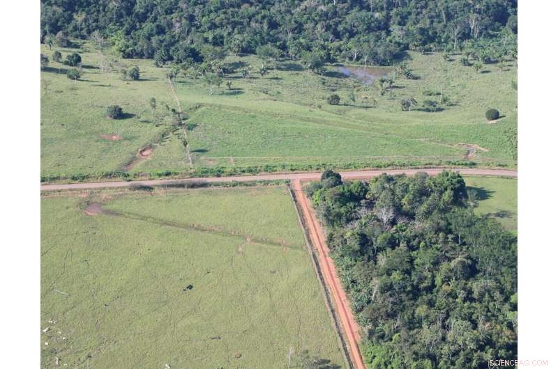 Amazonian Geoglyphs Reveal Early Landscape Engineering