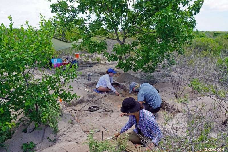 Archaeological Insights into Informal Commerce of the Colonial Caribbean