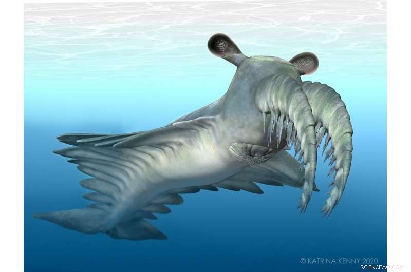 Ancient Marine Creatures  Exceptional Vision Triggered an Evolutionary Arms Race