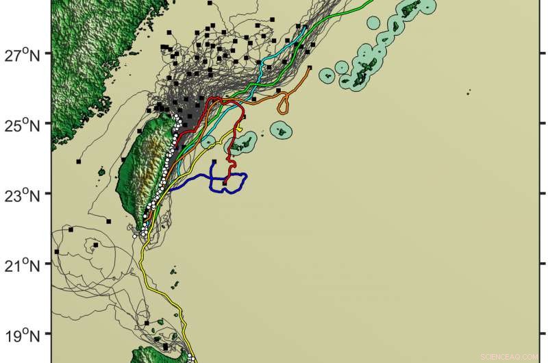 Study Reveals Ancient Ryukyu Migration Was Deliberate, Not Accidental