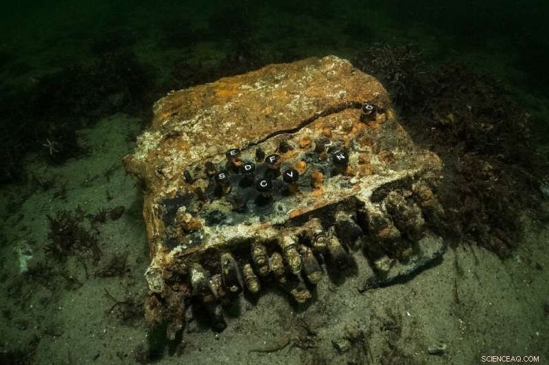 Historic WWII Enigma Machine Found in Baltic Sea by German Divers