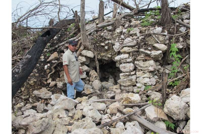 How Archaeologists Pinpoint Excavation Sites