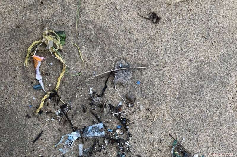 How Archaeologists Pinpoint Excavation Sites