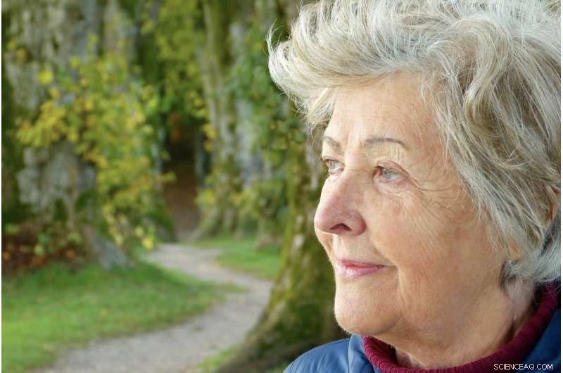 Can Europeans Retire Later? Health & Work Trends Unveiled