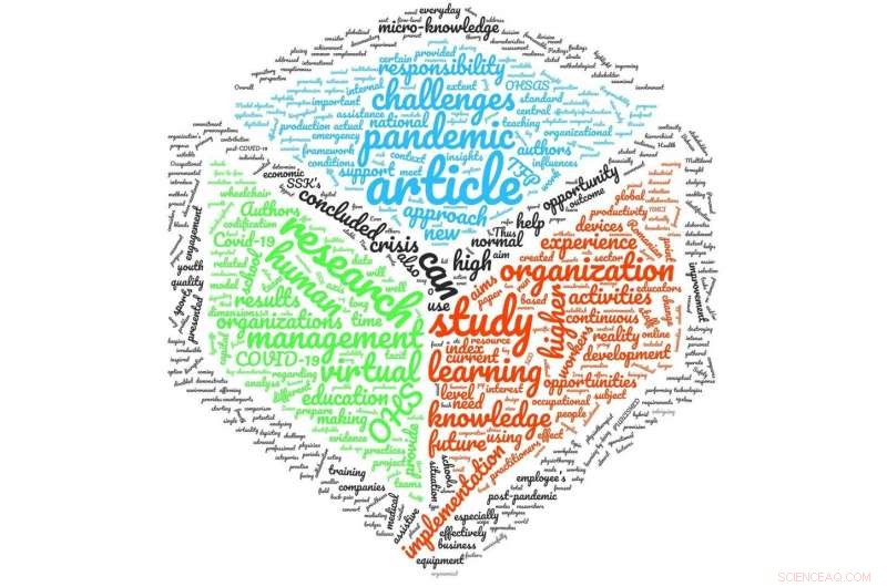 Human Systems Management: Essential Strategies for Business Resilience During COVID‑19