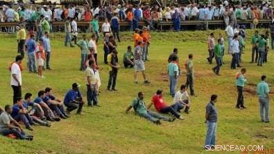 How the Pandemic Worsened Brazil s Labor Market: Disproportionate Impact on Black Workers and Women