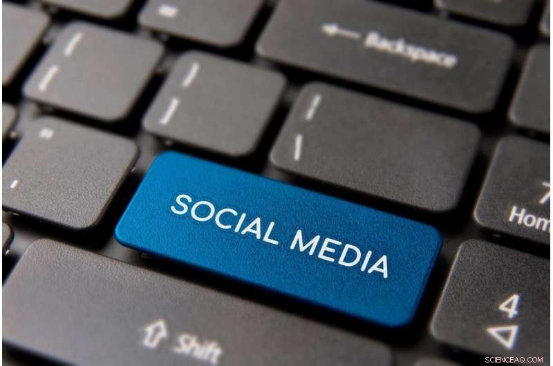 How Social Media Shields SMEs from Internationalization Risks