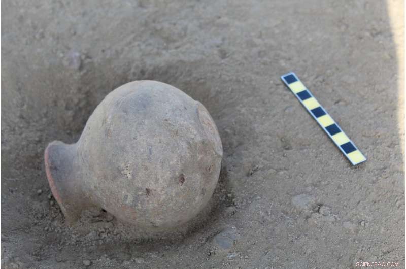 Fat Residues in Indus Pottery Reveal Dominant Animal-Based Diets