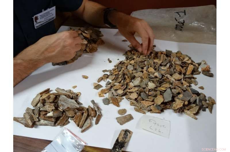 New Fossil Finds Confirm Neanderthals Buried Their Dead